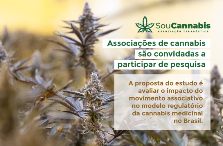 Associações de cannabis