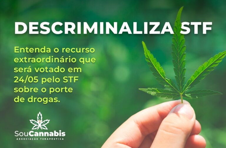 Descriminalização Do Porte De Drogas Soucannabis 6261