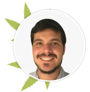 André Drabeski - SouCannabis