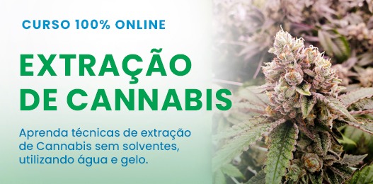 Curso Extração Ice SouCannabis